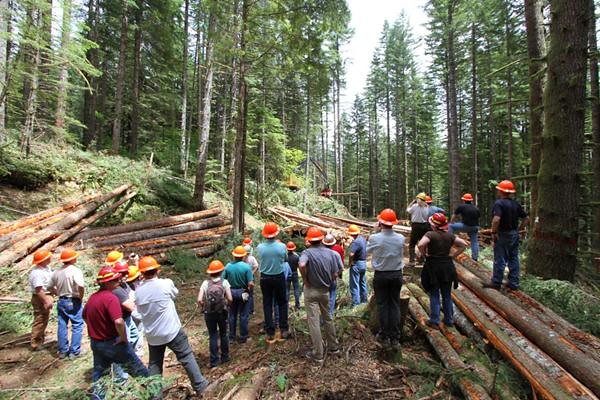 Forest Mapping