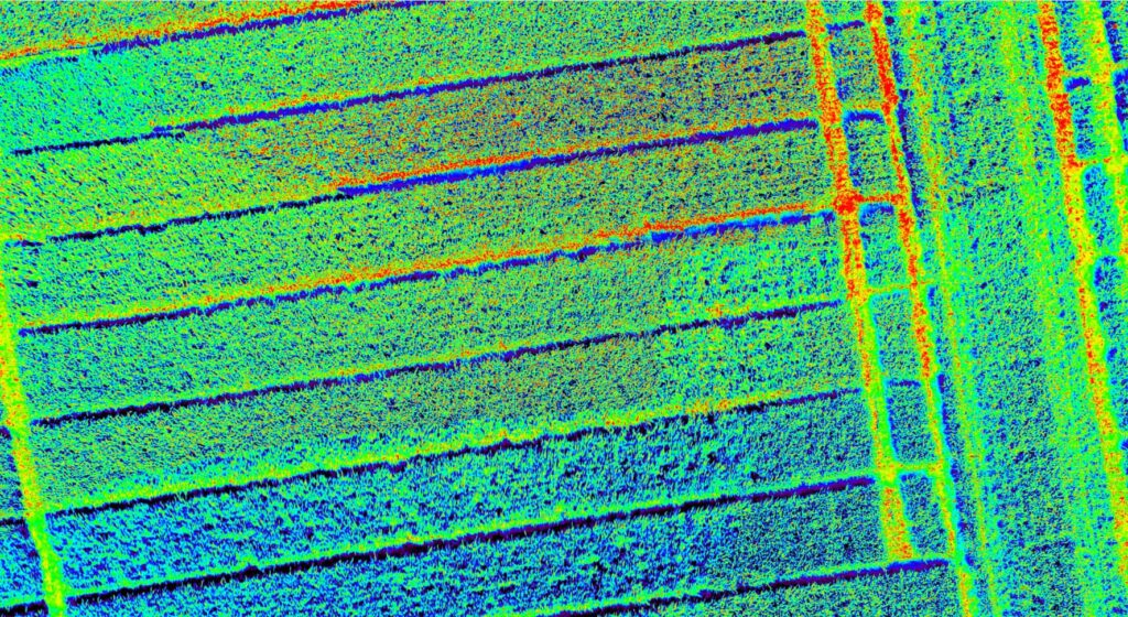 Vegetation monitoring