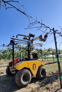 Autonomous pruning